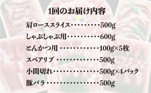 【全6回定期便】計4.6kg！糸島豚 食べ尽くしセット ( とんかつ / 肩ロース / しゃぶしゃぶ / 豚バラ / スペアリブ / 小間切れ ) 糸島市 / トラヤミートセンター [AJD013]