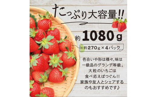 【全2回定期便】あまおう いちご 1,080g (約270g×4パック 【先行予約・2025年1月中旬より順次発送】 糸島市 / 株式会社HSP-テクノ グランデ 等級 福岡県産 [AZL005]