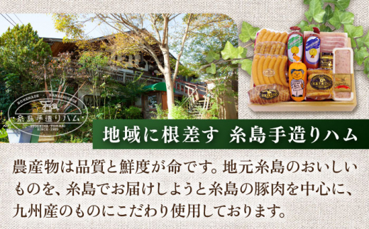 【全6回定期便】【本場ドイツで連続金賞受賞】特選 ギフト セット 6種 詰め合わせ （ ハム / ソーセージ / ウインナー） 糸島市 / 糸島手造りハム [AAC026]