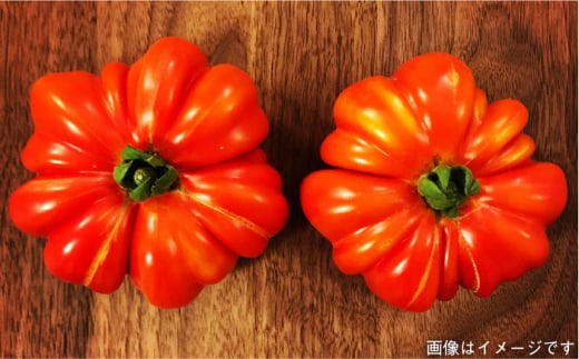 【 全3回 定期便 】朝採り オーガニック 旬 野菜 お任せ 5品 ＋ 糸島産 大ヒット 特産 加工品 2品 のセット《糸島》【オーガニックナガミツファーム】[AGE029]