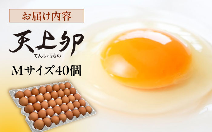 こだわり の 卵 「 天上卵 」 40個 セット 《糸島》 【株式会社おおはまファーム】 [AKH005] 鶏卵 平飼い 平飼い卵 玉子 たまご 高級 自然 新鮮 自家配合飼料