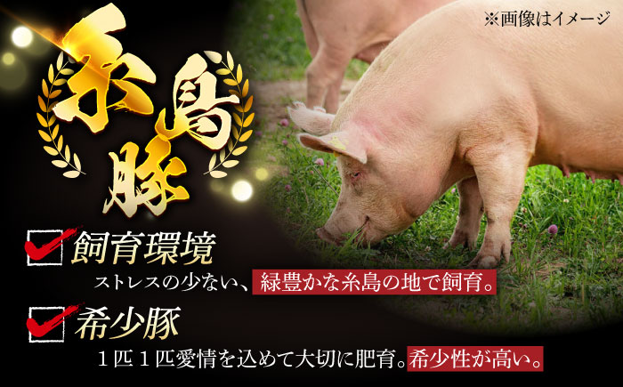 【全3回定期便】合計4.6kg！糸島豚食べ尽くしセット(とんかつ、肩ロース、しゃぶしゃぶ、豚バラ、スペアリブ、小間切れ) 糸島市 / トラヤミートセンター 豚肉 セット [AJD023]