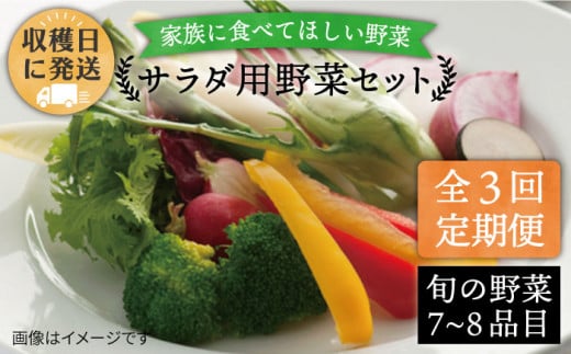 【 全3回 定期便 】【 福岡県 糸島産 】 朝採れ サラダ用 野菜 セット 《糸島》【オーガニックナガミツファーム】 [AGE005]