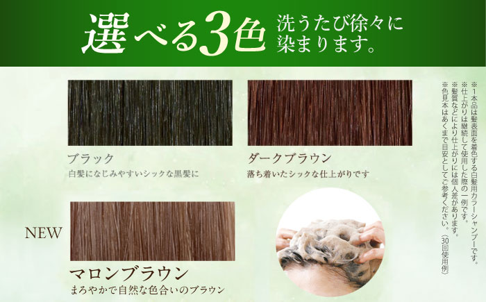 ［白髪用］利尻炭酸カラーシャンプー 糸島市 / 株式会社ピュール ヘアケア シャンプー [AZA045] シャンプー 白髪染め カラーシャンプー メンズ レディース ブラック