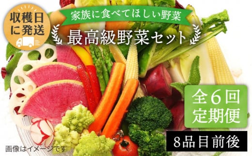 【 全6回 定期便 】【 農薬・化学肥料 不使用 】こだわり 野菜 セット （ 8品 前後 ） 《糸島》【オーガニックナガミツファーム】 [AGE017]