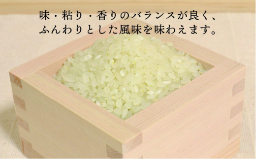 糸島産 ヒノヒカリ 5kg糸島市 / 糸島王丸農園　( 谷口汰一 )【いとしまごころ】 [AAZ010]