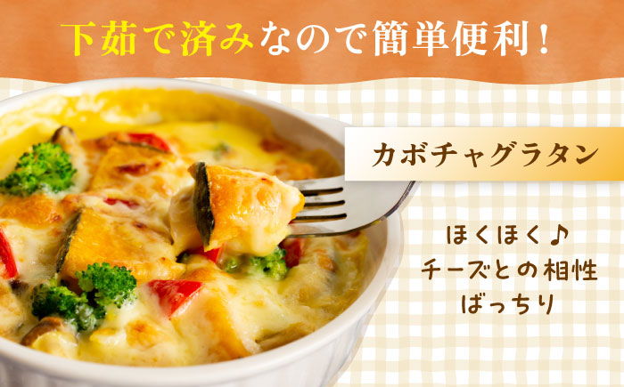 カボチャ 1kg 冷凍 カット済み 旬の時期に急速冷凍 【福岡県糸島産】 糸島市 / オーガニックナガミツファーム 野菜 南瓜 かぼちゃ [AGE051]
