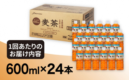 【全3回定期便】麦茶 600ml × 24本  糸島市 / スターナイン お茶 ペットボトル [ARM018]