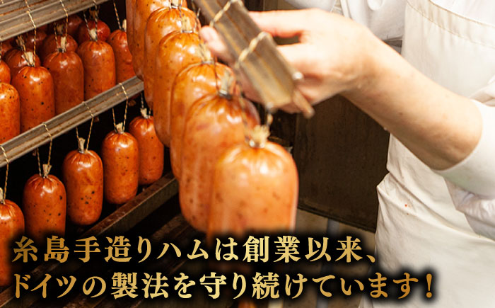 【全6回定期便】【本場ドイツで連続金賞受賞】金賞 受賞 セット 5種 詰め合わせ （ ハム / ソーセージ / ウインナー） 糸島市 / 糸島手造りハム [AAC029]