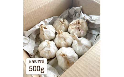 にんにく 500g 数量限定 糸島市 / 爽風農園 / いとしまごころ [AHZ001]