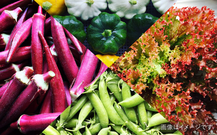 【全12回定期便】【☆畑直送☆栽培期間中農薬不使用！】お 米 2kg & 野菜 5品 の セット 糸島市 / オーガニックナガミツファーム 	[AGE038]