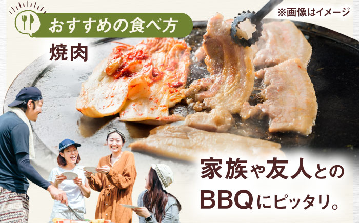一貴山豚 焼肉用バラ肉 計500g(250g×2p) 糸島市 / いきさん牧場 豚肉 [AGB034] 豚肉 豚 ブランド豚 一貴山豚 ポーク バラ 豚バラ 脂身 小分け
