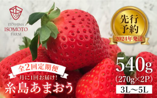 【全2回定期便】【2025年1月より順次発送*先行予約】 糸島の美味い あまおう 270g×2パック (A品B品含む3L〜5L) 糸島市 / 磯本農園 / TANNAL いちご 苺 イチゴ [ATB026]