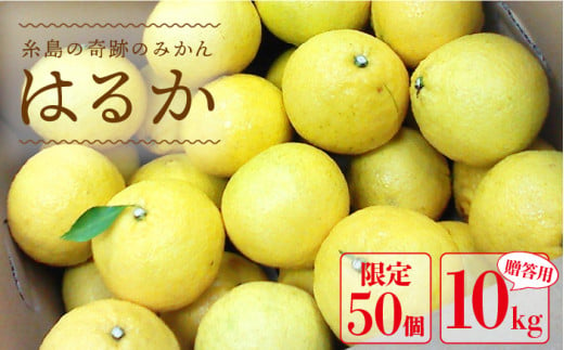 【先行予約】爽やかに甘い！ 糸島 産「 はるか 」  贈答 用 約10kg 【2025年3月より順次発送】 《糸島》【二丈赤米産直センター】 [ABB002]