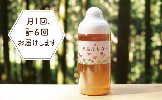 【全6回定期便】糸島 はちみつ 520g 糸島市 / ヴァンベールフーズ /百花 / 蜂蜜 [AFJ006] 蜂蜜 はちみつ ハチミツ 国産 非加熱 無添加 紅茶 日本蜜蜂