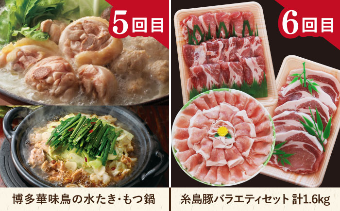 【全12回定期便】糸島・贅沢お肉定期便 毎月3〜4人前 （ 博多和牛 糸島和牛 糸島豚 はかた地どり イノシシ ウインナー シャトーブリアン ステーキ ハム ソーセージ ハンバーグ ） 糸島市 [AAH009] 地鶏 モモ  ハンバーグ ジビエ 肩ロース 焼肉 水炊き お肉 牛肉 豚肉