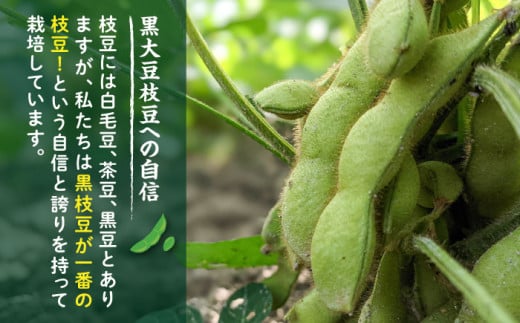 【期間限定！】黒大豆枝豆【幸】1.2kg （400g×3袋） 糸島市 / 染井野菜園 [AZM001]