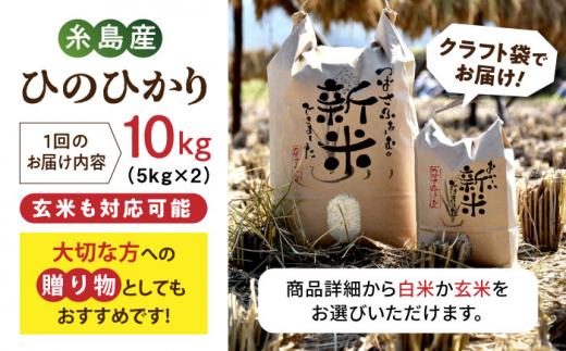 【全12回定期便】 糸島産 雷山のふもとの米 農薬不使用 10kg 糸島市 / ツバサファーム [ANI008] 白米 玄米