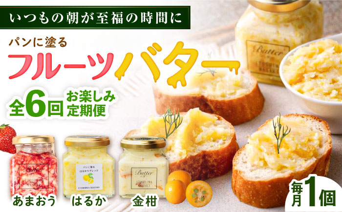 【全6回定期便】お楽しみ定期便 フルーツバター大1個 糸島市/糸島正キ ジャム クリーム 果物 [AQA063] バター フルーツバター フルーツ 果物 いちご あまおう みかん 金柑