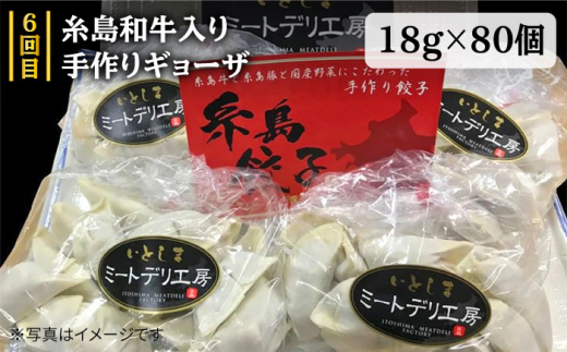 家族 で たっぷり！ ボリューム 満載 定期便全7回 （月1回） 4人用 【福岡 糸島産 牛肉 豚肉 鶏肉 切り落とし ミンチ ハンバーグ 餃子】 《糸島》 【糸島ミートデリ工房】 [ACA085]