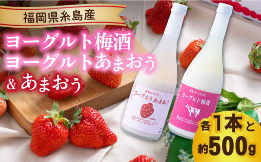 【先行予約】【春】ヨーグルトあまおう＆ヨーグルト梅酒 各720ml×あまおう 約250g×2パック 【2025年2月上旬以降順次発送】 糸島市 / 南国フルーツ株式会社 [AIK019]