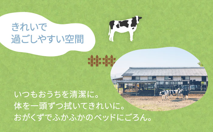 伊都物語 プレミアムアイス5種 20個セット(みるく4個、ヨーグルト4個、あまおう4個、抹茶4個、チョコレート4個) 《糸島》【糸島みるくぷらんと】[AFB008] アイス クリーム ミルク ギフト 詰め合わせ 送料無料