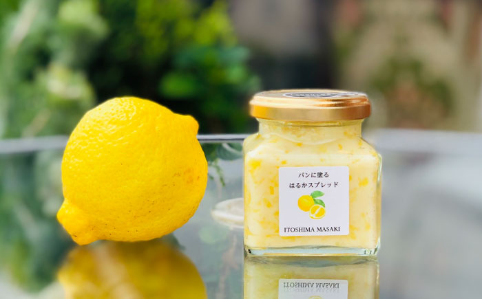 はるかバター 大 1個 糸島市 / 糸島正キ みかん ジャム クリーム [AQA058] バター フルーツバター はるか みかん ジャム かわいい ギフト 贈り物