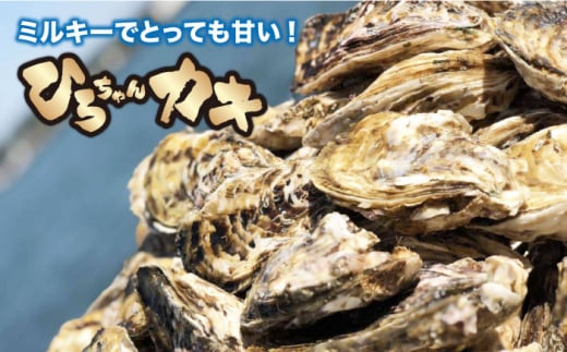 殻付き牡蠣 2kg （24個前後） + はまぐり（10粒） セット 真牡蠣 生食用 糸島市 / ひろちゃんカキ [AJA009]