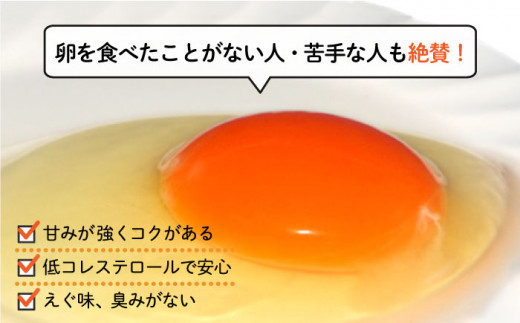 【全12回定期便】てつやとのりこの 玉子　30個 × 12ヶ月　糸島 / 板垣ファーム たまご 卵12か月  [AWD010]