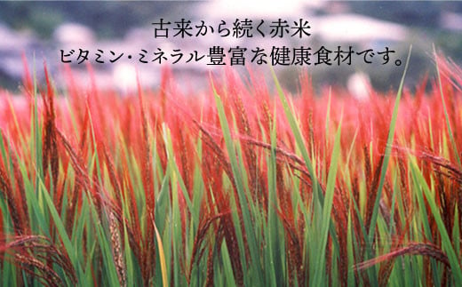 雑穀米 健康 ごはん の お米 セット 900g(300g×3P) 糸島 / 二丈赤米産直センター 黒米 赤米 [ABB017]