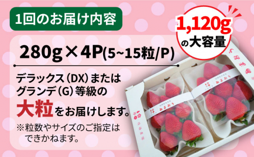 【全2回定期便】【農家直送！】糸島産 春 あまおう 280g×4パック (DXおよびGサイズ) 【先行予約受付中・2025年1月下旬以降順次発送】 糸島市 / 後藤農園 いちご 福岡 [AML006]