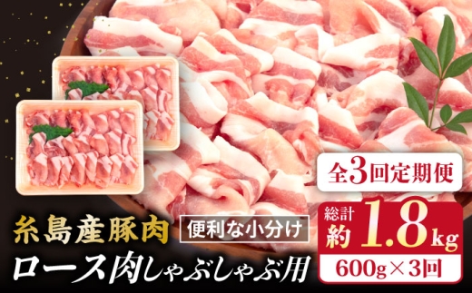 【全3回定期便】糸島産豚肉 ロース 肉 スライス しゃぶしゃぶ 用 600g 糸島市 / 糸島ミートデリ工房 [ACA326]