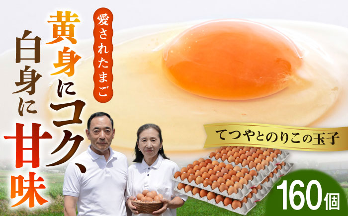 【年内発送】【160個】黄身にコク！白身に甘み！てつやとのりこの玉子 板垣ファーム [AWD005]