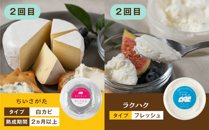 【全3回 お楽しみ 定期便】糸島産 生乳 100％ 使用 手作り チーズ 毎月 4種 糸島市 / 糸島ナチュラルチーズ製造所TAK-タック- [AYC010]