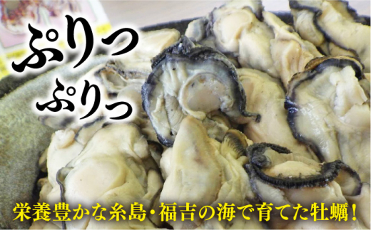 糸島 福吉産 蒸し 牡蠣 600g （ 300g×2P ） 福岡県 糸島市 / かきの阿部 飛龍丸 [AZB008]