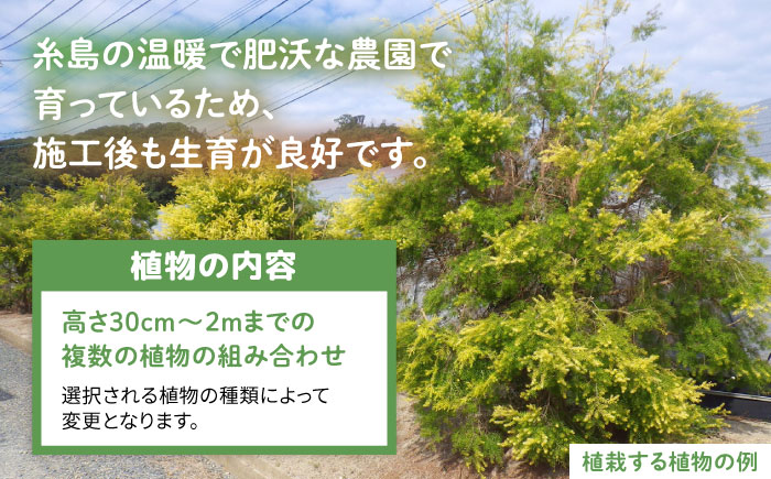 グリーンコーディネートチケット 11万円分【施工込み】糸島市 / サン・グリーン 園芸 植木 [AVN001] グリーン コーディネート 施工 チケット 造園 園芸 緑化 工事 樹木 植物