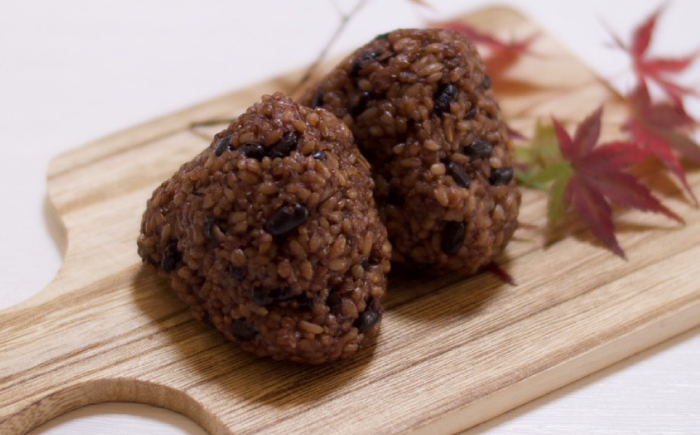 発芽発酵玄米パックご飯 125g×6パック 糸島市産 糸島市 / 糸島の恵み ごはん 米 [AGR005]