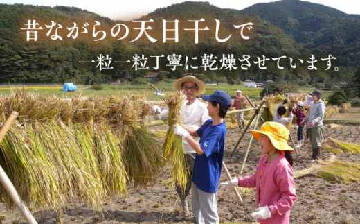 【新米先行予約】田縁米（でんえんまい）・天日（てんじつ）玄米 2kg 【2024年11月以降順次発送】糸島市 / NPO法人田縁プロジェクト [ATM002] 米 お米