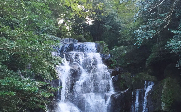 いとしま1泊2日プレミアム 1名様分 糸島市 / VISIT九州 [ASO002] バスツアー 旅行 日帰り 買い物 カフェ 食事 記念日 誕生日 ギフト