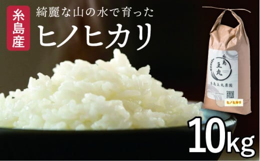 糸島産 ヒノヒカリ 10kg 糸島市 / 糸島王丸農園 ( 谷口汰一 )【いとしまごころ】 [AAZ014]