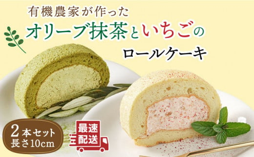 オリーブ リーフ の 抹茶 ＆ つぶつぶ 糸島 いちご ロール ケーキ 2本 セット《糸島》【わかまつ農園】 [AHB014]