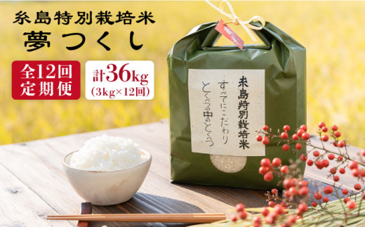 【全12回定期便】とくべつの中のとくべつ 糸島 特別栽培米 3kg （ 夢つくし ） 糸島市 / itoshimacco / 株式会社やました [ARJ024]