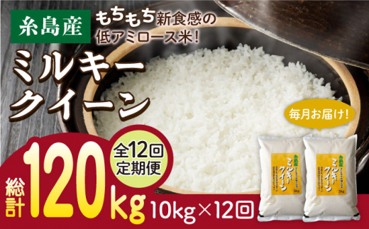 【全12回定期便】ミルキークイーン 10kg （ 5kg×2袋 ） 糸島市 / 玄米・精米専門店 新飼宗一郎商店 米 白米 [ADE016]