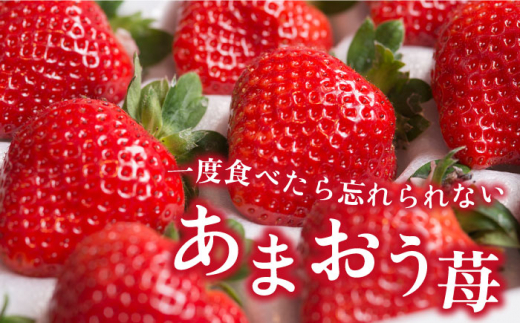 【先行予約】【全2回定期便】【2025年1月より順次発送】糸島産 あまおう ギフト 箱 毎月600g ( 24-30粒 )糸島市 / 南国フルーツ株式会社 [AIK028]