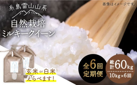 【 全6回 定期便 】糸島産 ミルキークイーン 10kg 自然栽培 《糸島》【大石ファーム】 [ATE030]