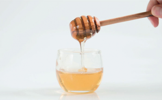 【全6回定期便】糸島 はちみつ 520g 糸島市 / ヴァンベールフーズ /百花 / 蜂蜜 [AFJ006] 蜂蜜 はちみつ ハチミツ 国産 非加熱 無添加 紅茶 日本蜜蜂