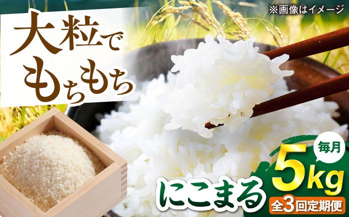 【全3回定期便】 にこまる 玄米品質1等米 白米 5kg 糸島市産 糸島市 / 糸島の恵み コメ こめ ご飯 [AGR008]