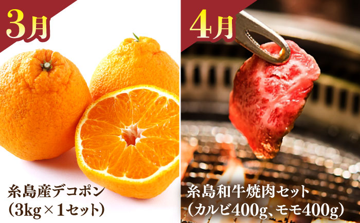 【全12回】【限定30セット】伊都菜彩 プレミアム 定期便 (2人前) 糸島の山の幸、海の幸が詰まったバイヤーオススメの年間定期便 糸島市 / JA糸島産直市場 伊都菜彩 [AED011]