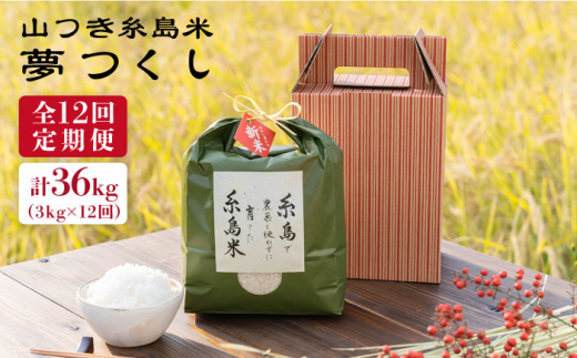 【全12回定期便】糸島 で 農薬 を使わずに育てた 山つき 糸島米 3kg （ 夢つくし ） 糸島市 / itoshimacco / 株式会社やました [ARJ032]