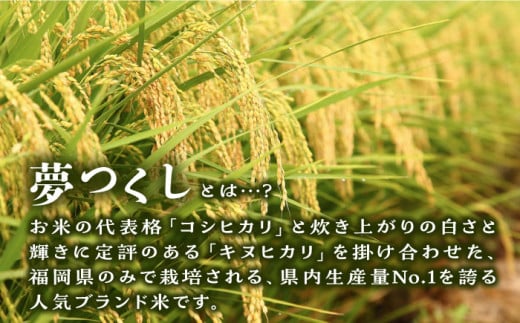 ＼ 令和6年産新米 ／ 糸島産 夢つくし 10kg 糸島市 / 三島商店 [AIM002]